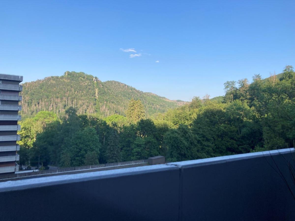 Das Kauzennest Appartement Bad Harzburg Buitenkant foto